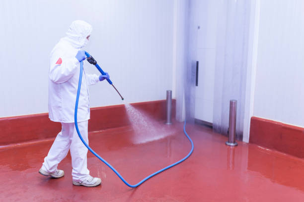 Best Graffiti Removal  in Newhall, IA