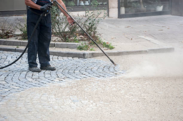 Best House Exterior Washing  in Newhall, IA
